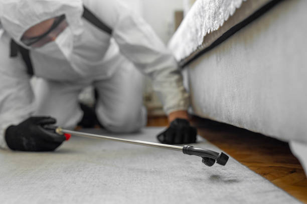 Professional Termite Control technician working in Hayfork, CA