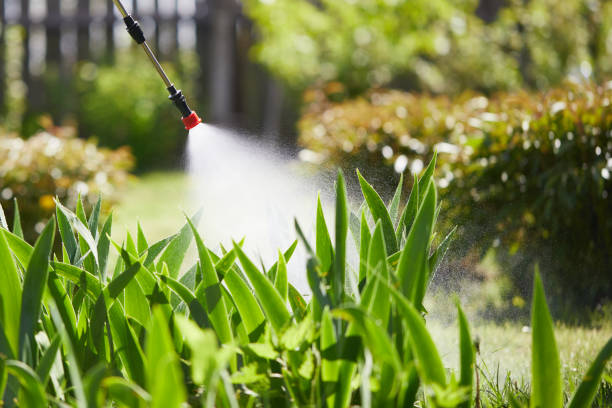 24/7 Emergency Termite Control experts in Hayfork, CA