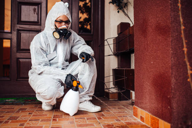 Reliable Termite Control contractor in Hayfork, CA by Nex Pest Control