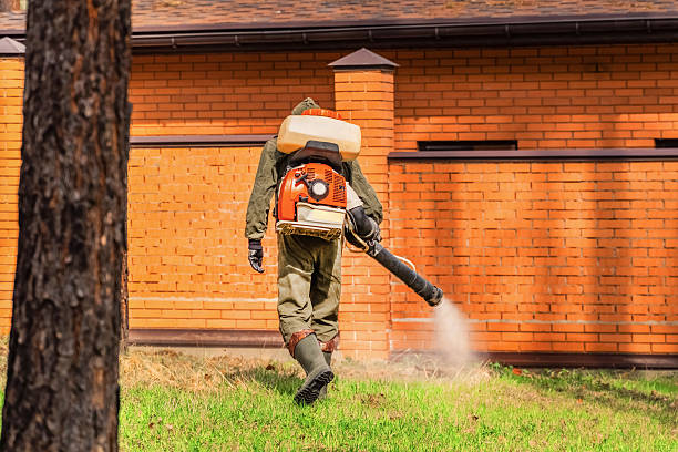 Top rated local Termite Control specialists in Hayfork, CA